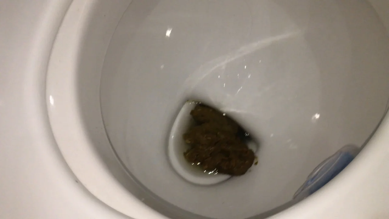 Markovna – Be Careful There Is A Lot Of Shit In This Video