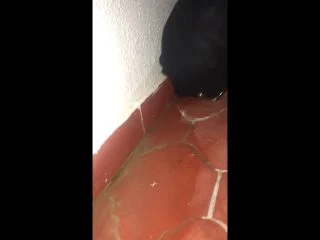 GoddessAndreea – Bubblebut Scat Feeding Her Human Toilet 2 screenshot 3
