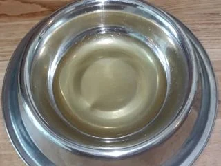 Reallifedoll – Pissing In Dogbowl For You To Enjoy screenshot 6