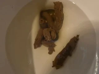 Gassy – Classy 4k Poop Compilation 22 screenshot 1