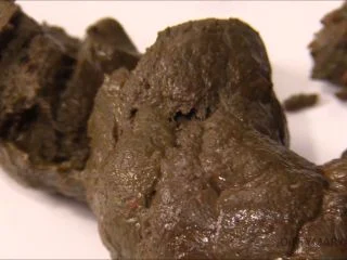 DirtyMaryan – Pooping For Foot Fetish Scat Slave screenshot 2