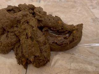 Sophia Sprinkle – Shitting 1.2 Lb. For LOSER Paypig Sub screenshot 3