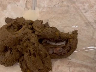 Sophia Sprinkle – Shitting 1.2 Lb. For LOSER Paypig Sub screenshot 4