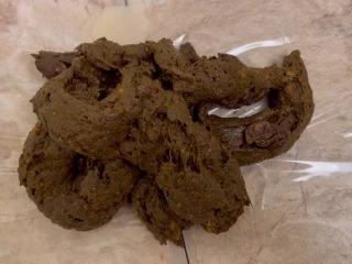 Sophia Sprinkle – Shitting 1.2 Lb. For LOSER Paypig Sub screenshot 6