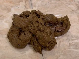 Sophia Sprinkle – Shitting 1.2 Lb. For LOSER Paypig Sub screenshot 7