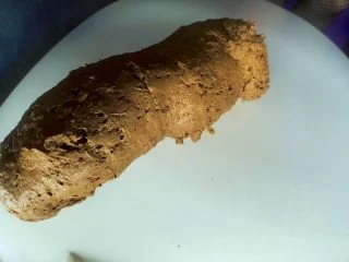 DirtyBetty – Monstro-Giant Turd From Hot Ass screenshot 7