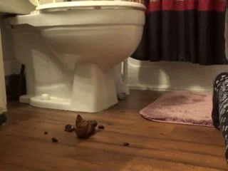 SexyScatForYou – Post-Thankgiving Dump screenshot 3