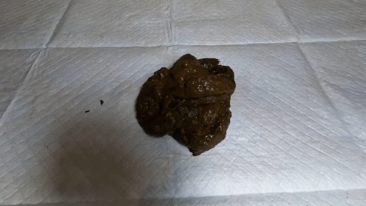 Classy N Gassy – Giantess Dominates You With Poop