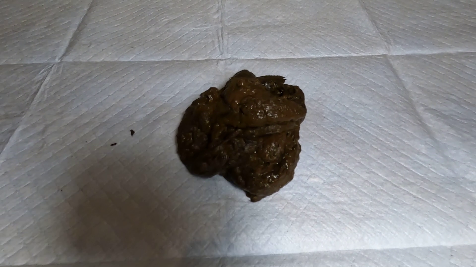 Classy N Gassy – Giantess Dominates You With Poop