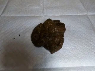 Classy N Gassy – Giantess Dominates You With Poop screenshot 5