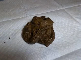 Classy N Gassy – Giantess Dominates You With Poop screenshot 6