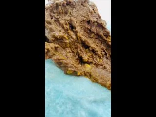 Potty Chair screenshot 5