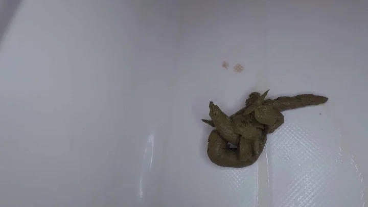 Thick Turd Foot Smashing