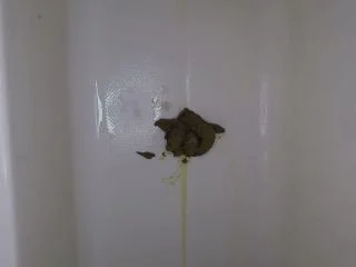 Thick Turd Foot Smashing screenshot 6