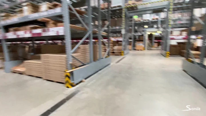 Devil Sophie – Shopping When The Shit Presses – Dirty Shit In The Furniture Store
