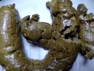 ElenaToilet – Detailed Shit For Toilet Losers screenshot 7
