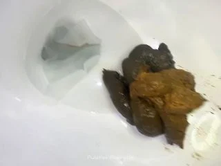 Pulsifer Paprocki – 14 Shits In February Compilation – 42 Minutes screenshot 2