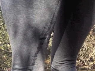 Wetting ADVENTURES screenshot 5