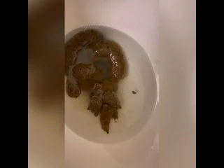 Trophy Turds screenshot 3