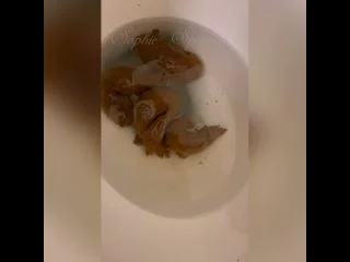 Trophy Turds screenshot 5