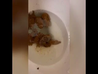 Trophy Turds screenshot 6