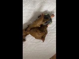 NastyAzzLaLa – Pooping On A Little Military Toy Man screenshot 5