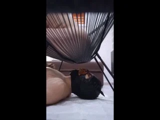 DommeAndreea – Foot Feeding While My Toilet Eat Fresh Poo screenshot 5