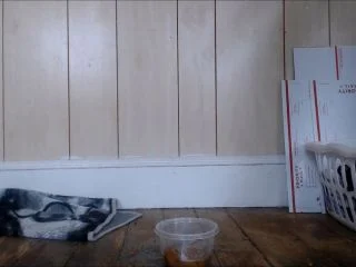 Seduction – Thick Ball Of Shit screenshot 2