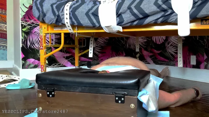 Poo Pig Learns New Tricks