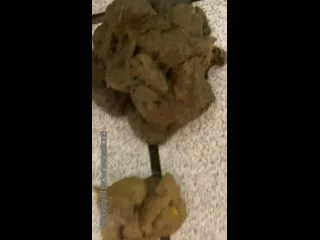 Brownsensations – Public Shits 4 screenshot 3