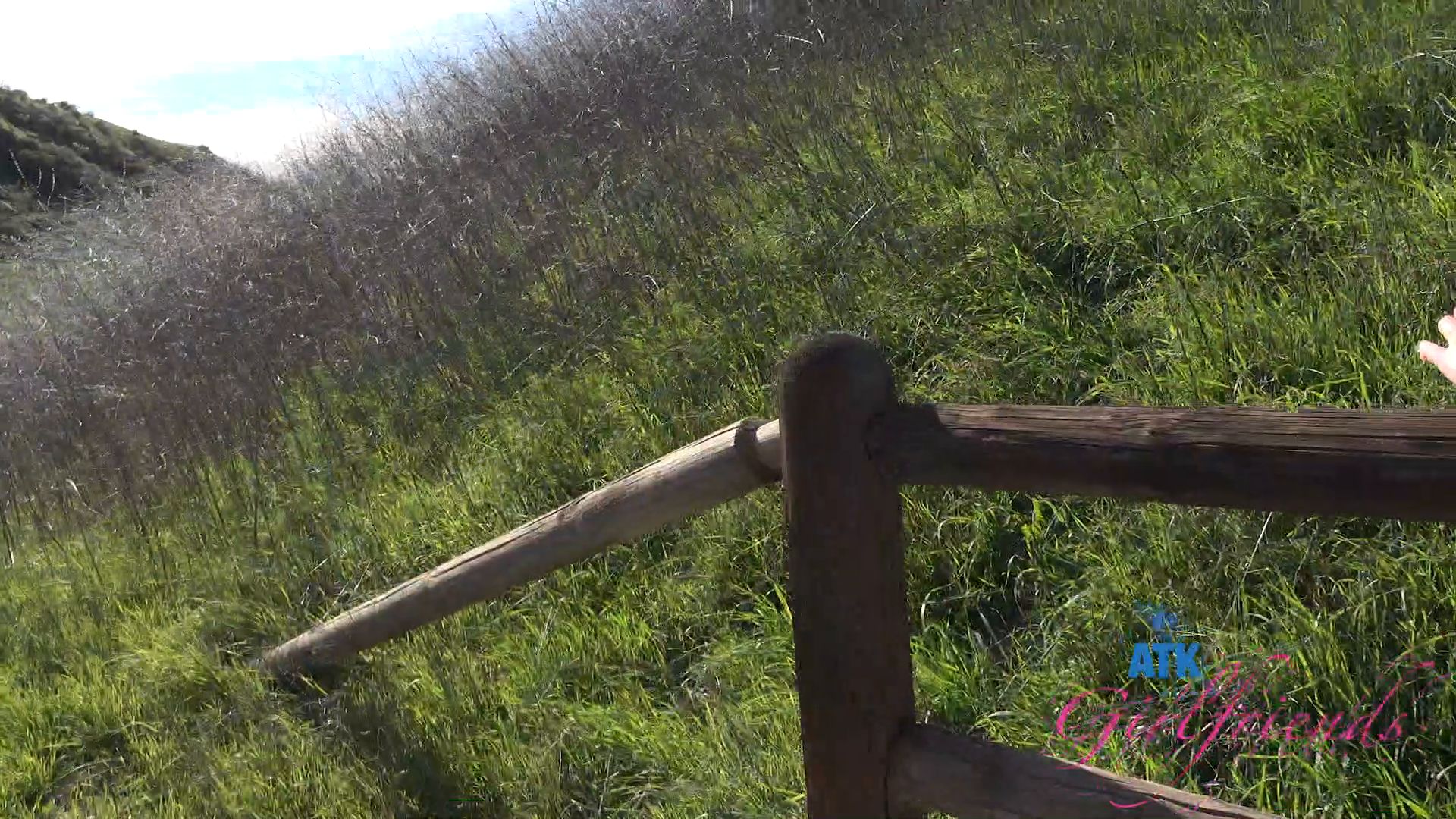 Violet Viper Pee 10.12.2025