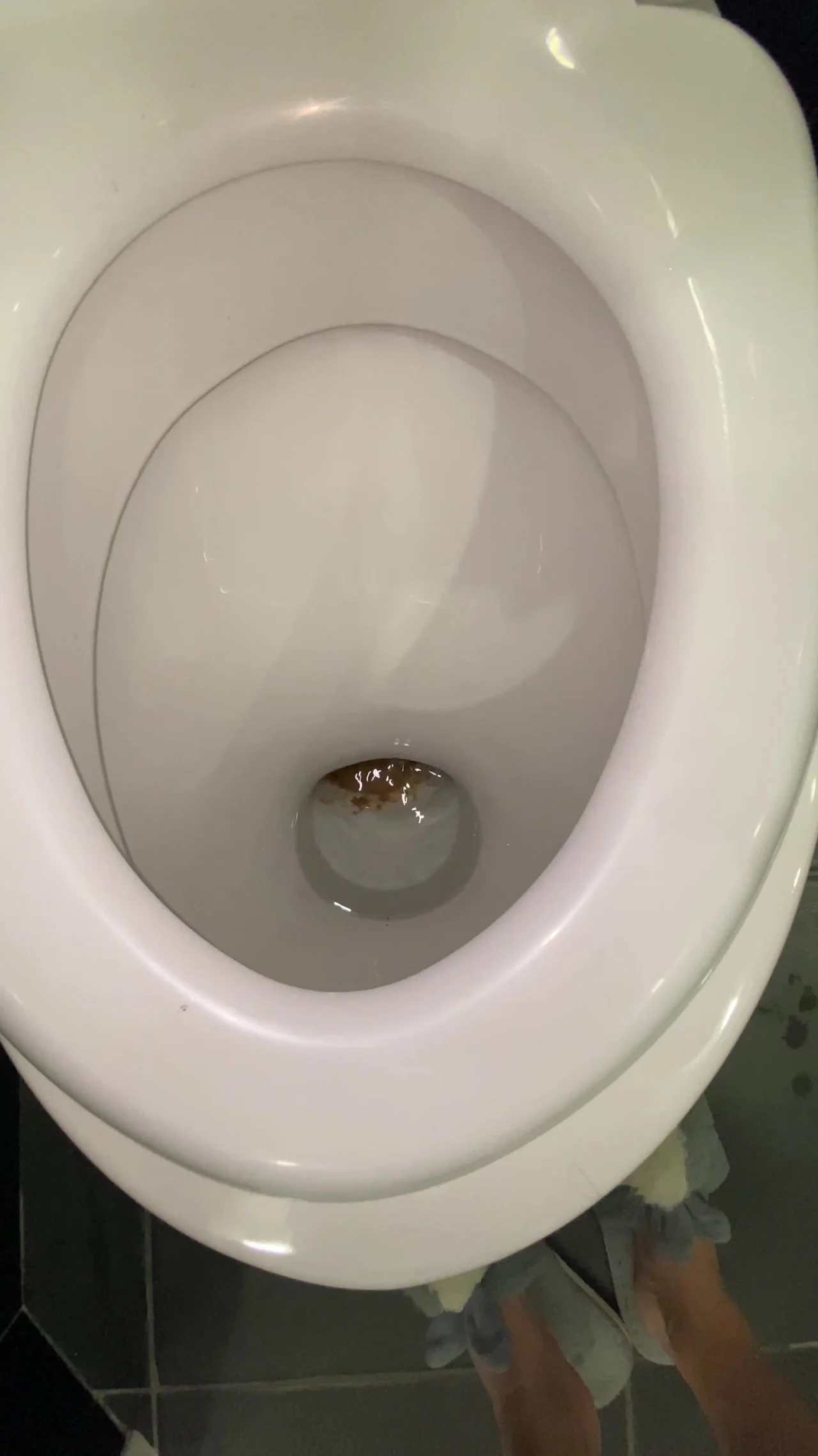 Markovna – What Do You Think Of My New Poop Piles
