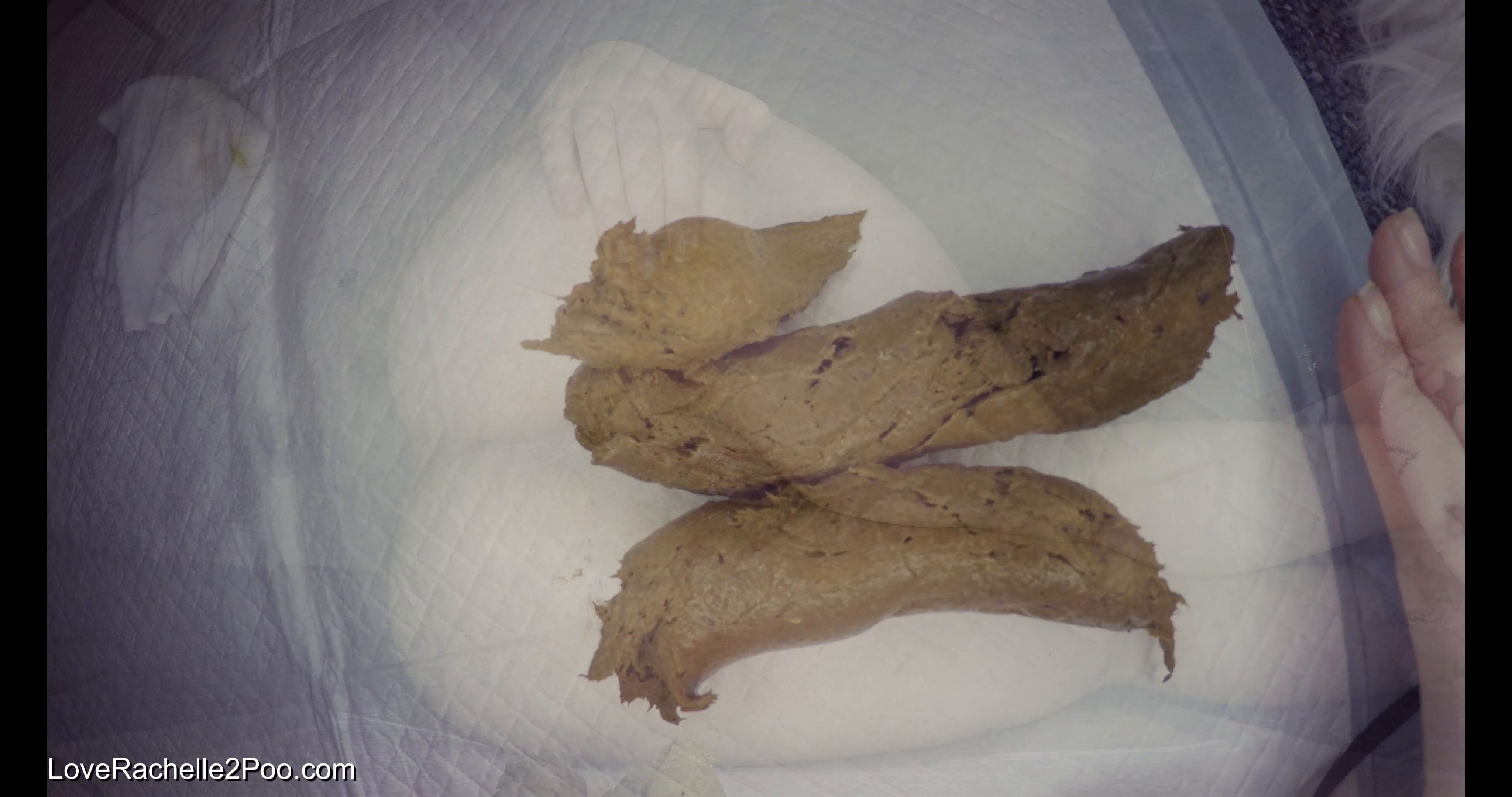 LoveRachelle2 – Turds Push Out My Hole