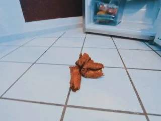 MiaRoxxx – 153. Pooping For My Fridge screenshot 7