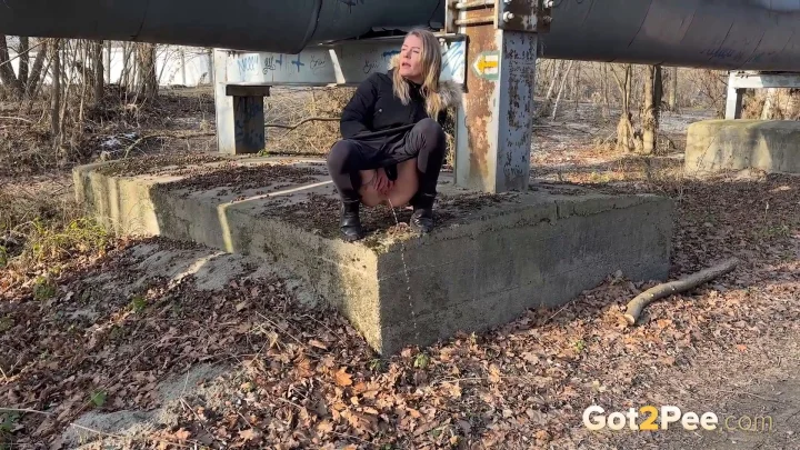 Concrete Pillar