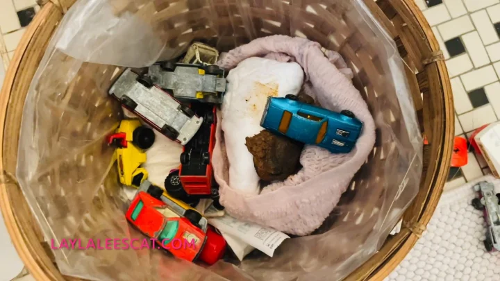 Layla Lee – Pooping On Your Toys