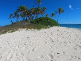 Rach Rach Peeing In The Bahamas Compilation screenshot 4