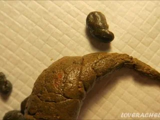 LoveRachelle2 – Super Detailed Shit Clips screenshot 6