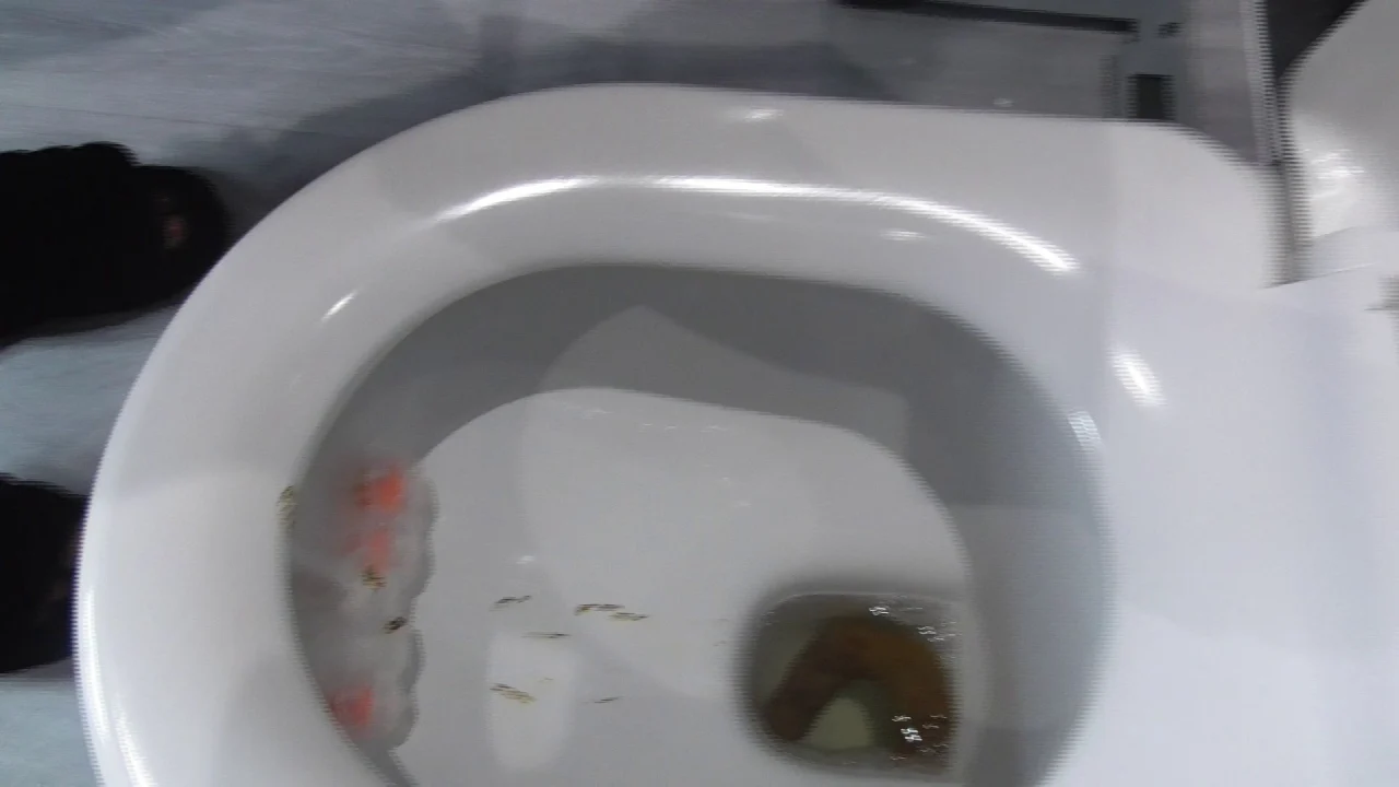 Princess-Cheryl – Twenty Four Seven Toilet Slave