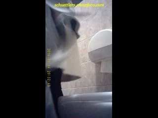 Student Restroom 65 screenshot 2