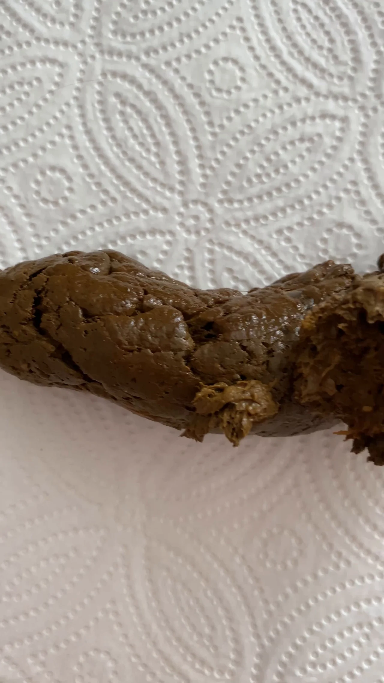 HolyCrap – Triple Shitty Pleasure And My Dirty Ass