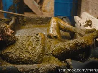 Franky S Time In The Manure Basin screenshot 1