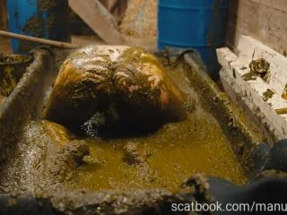 Franky S Time In The Manure Basin screenshot 2