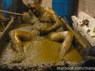 Franky S Time In The Manure Basin screenshot 3