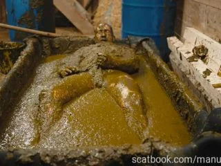 Franky S Time In The Manure Basin screenshot 4