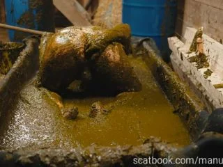 Franky S Time In The Manure Basin screenshot 5
