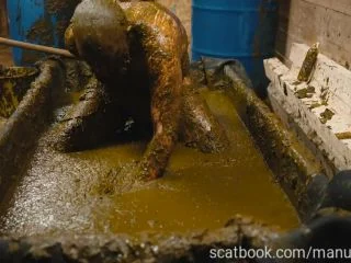 Franky S Time In The Manure Basin screenshot 6