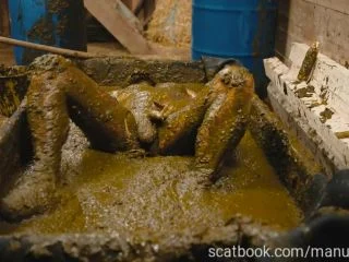 Franky S Time In The Manure Basin screenshot 7