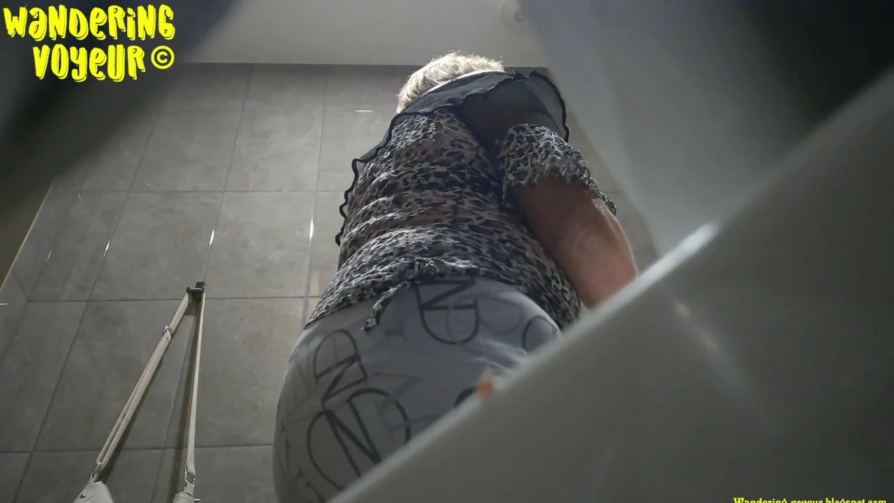 Wandering Cafe Toilet 2