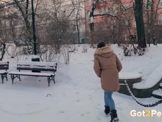 Public In The Snow screenshot 1